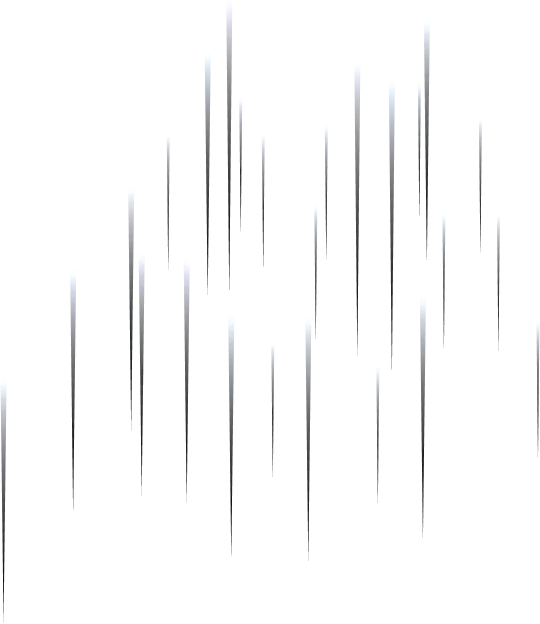 fondo
